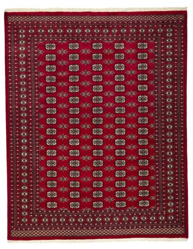 Hand made rug Bukhara fine Pakistan cm.244x306
