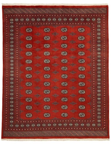 Hand made rug Bukhara fine Pakistan cm.243x303