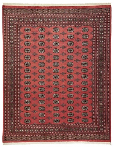 Hand made rug Bukhara fine Pakistan cm.246x310