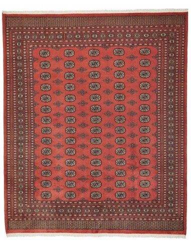 Hand made rug Bukhara fine Pakistan cm.254x306