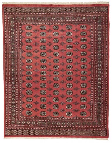Hand made rug Bukhara fine Pakistan cm.244x307