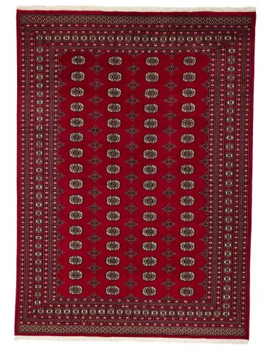 Hand made rug Bukhara fine Pakistan cm.244x336
