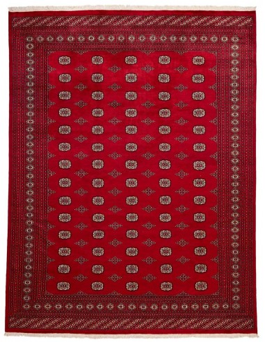 Hand made rug Bukhara fine Pakistan cm.278x364
