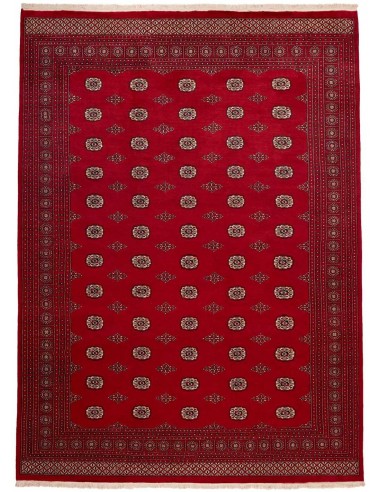Hand made rug Bukhara fine Pakistan cm.274x376