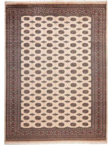 Hand made rug Bukhara fine Pakistan cm.277x380
