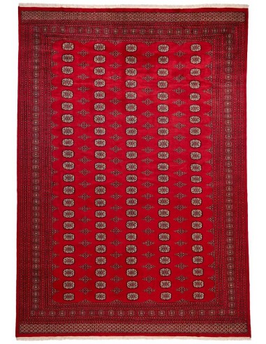 Hand made rug Bukhara fine Pakistan cm.304x419