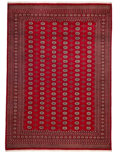 Hand made rug Bukhara fine Pakistan cm.308x428