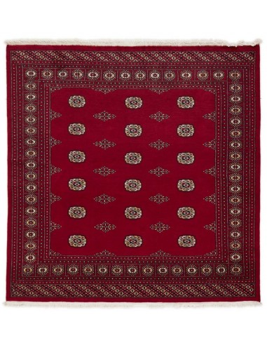 Hand made rug Bukhara fine Pakistan cm.201x203