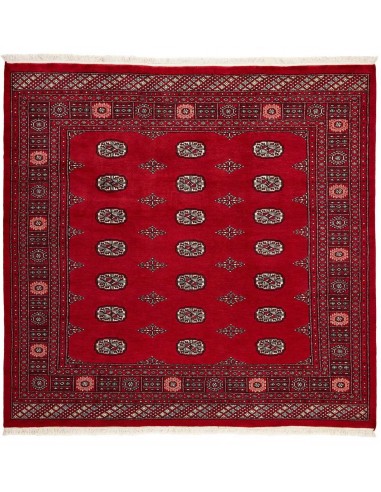 Hand made rug Bukhara fine Pakistan cm.205x199