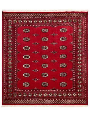 Hand made rug Bukhara fine Pakistan cm.204x208