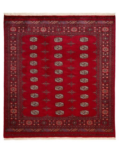 Hand made rug Bukhara fine Pakistan cm.200x210