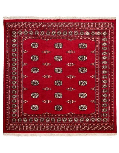 Hand made rug Bukhara fine Pakistan cm.201x205