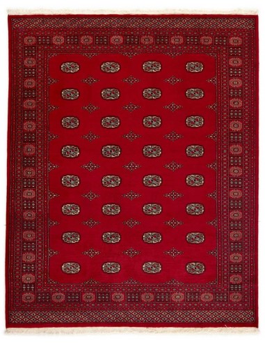 Hand made rug Bukhara fine Pakistan cm.203x252