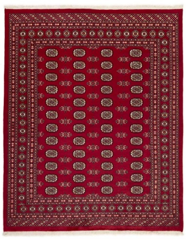 Hand made rug Bukhara fine Pakistan cm.200x246