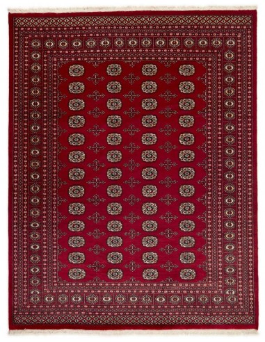 Hand made rug Bukhara fine Pakistan cm.203x259