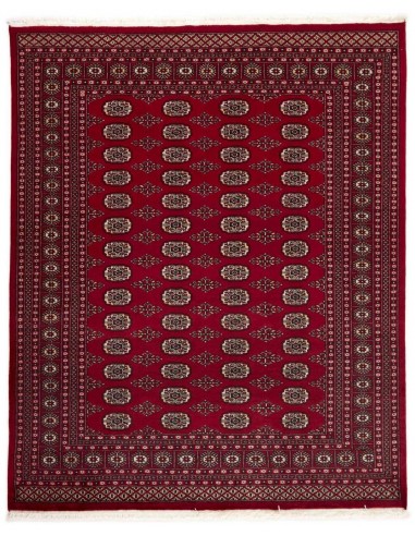 Hand made rug Bukhara fine Pakistan cm.202x248