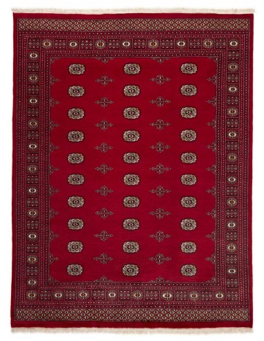 Hand made rug Bukhara fine Pakistan cm.200x259