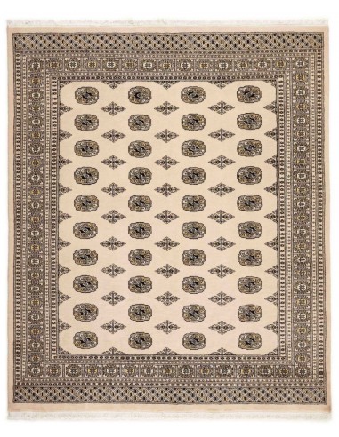 Hand made rug Bukhara fine Pakistan cm.203x245