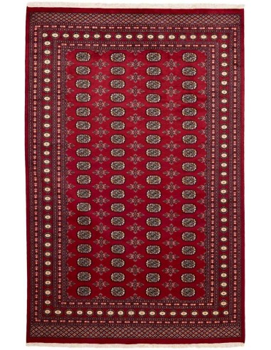 Hand made rug Bukhara fine Pakistan cm.200x310