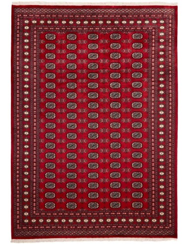 Hand made rug Bukhara fine Pakistan cm.216x303