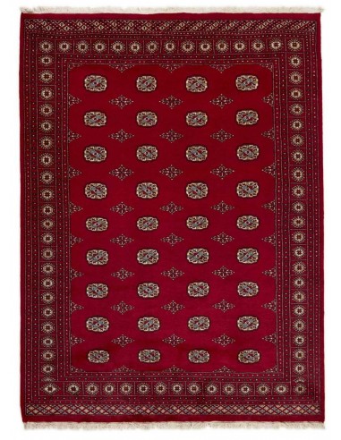 Hand made rug Bukhara fine Pakistan cm.199x269