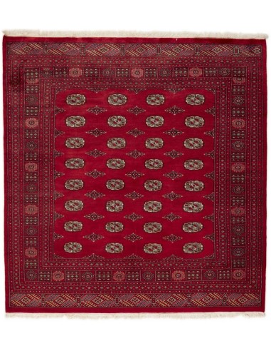Hand made rug Bukhara fine Pakistan cm.202x212