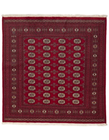Hand made rug Bukhara fine Pakistan cm.197x202