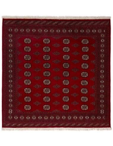 Hand made rug Bukhara fine Pakistan cm.200x199