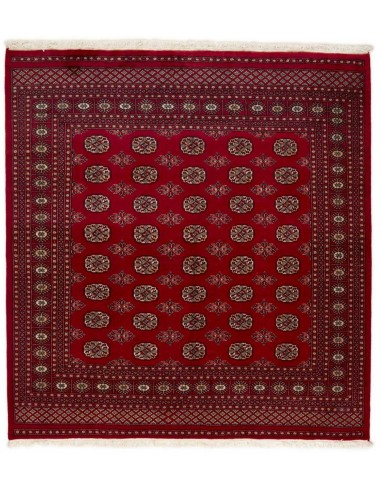 Hand made rug Bukhara fine Pakistan cm.201x210