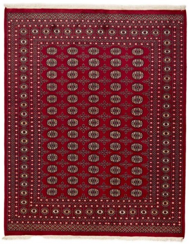 Hand made rug Bukhara fine Pakistan cm.203x255