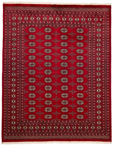 Hand made rug Bukhara fine Pakistan cm.201x253