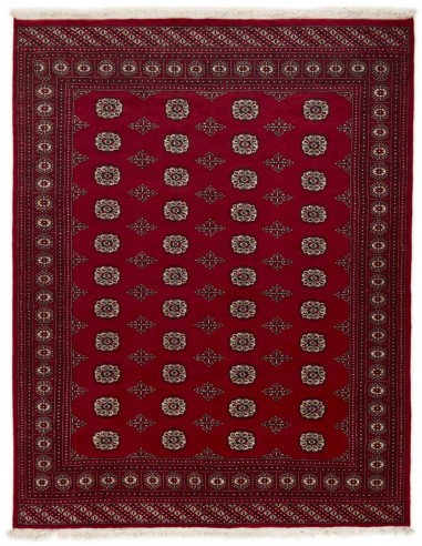 Hand made rug Bukhara fine Pakistan cm.198x253