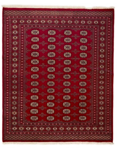 Hand made rug Bukhara fine Pakistan cm.200x242