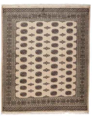 Hand made rug Bukhara fine Pakistan cm.207x249