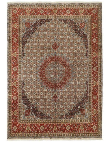 Hand made rug Moud Mahi Persia cm.250x353