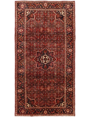 Hand made rug Hosseinabad Persia cm.162x300