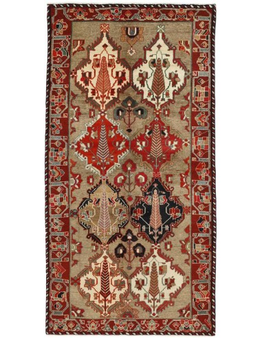 Hand made rug Bakhtiyar Persia cm.146x294