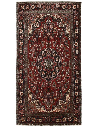 Hand made rug Bakhtiyar Persia cm.150x286