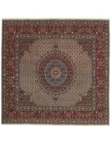 Hand made rug Moud Mahi Persia cm.260x255
