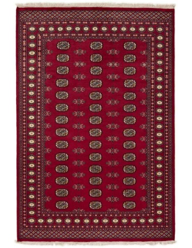 Hand made rug Bukhara fine Pakistan cm.171x255