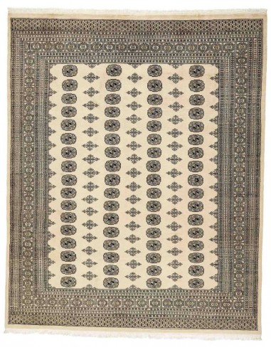 Hand made rug Bukhara fine Pakistan cm.246x302