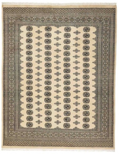 Hand made rug Bukhara fine Pakistan cm.244x306