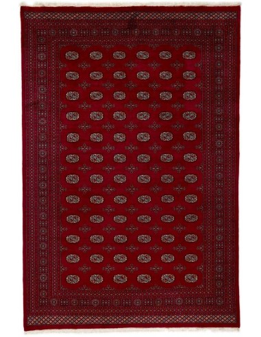 Hand made rug Bukhara extra fine Pakistan cm.246x363