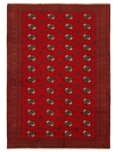 Hand made rug Torkaman Persia cm.206x288