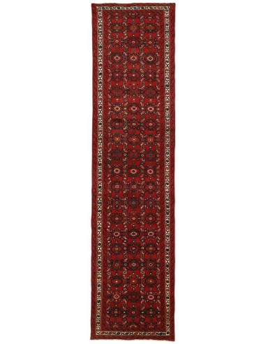 Hand made rug Hosseinabad Persia cm.75x313
