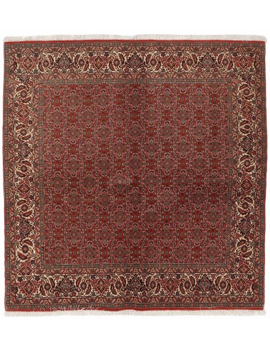 Hand made rug Bidjar Zandjan Persia cm.195x201