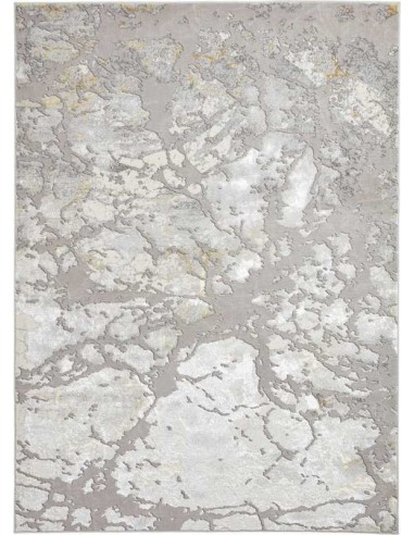 tappeto moderno Apollo 2677 Grey/Gold