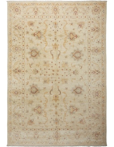 Tappeto Zigler Pakistan cm.166x250
