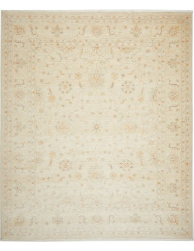 Tappeto Zigler Pakistan cm.248x291