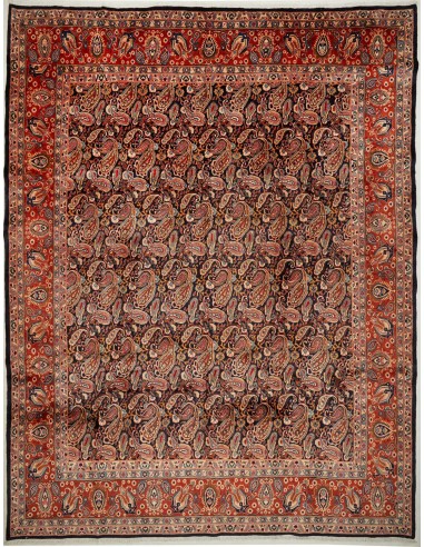 Tappeto Kashamr Zirkhaki Persia cm.295x380